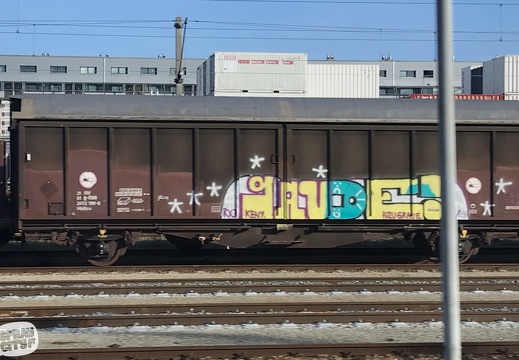 o freight6