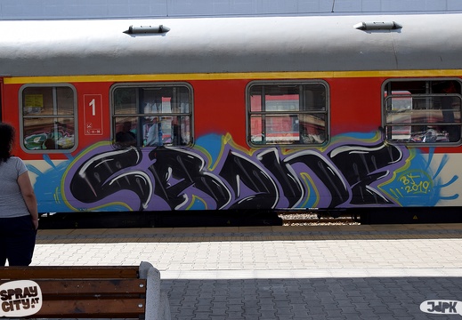 Sofia train (60)