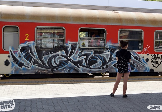 Sofia train (64)