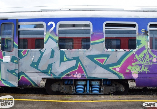 Rijeka Train (1)