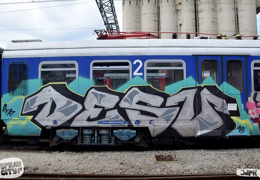 Rijeka Train (15)