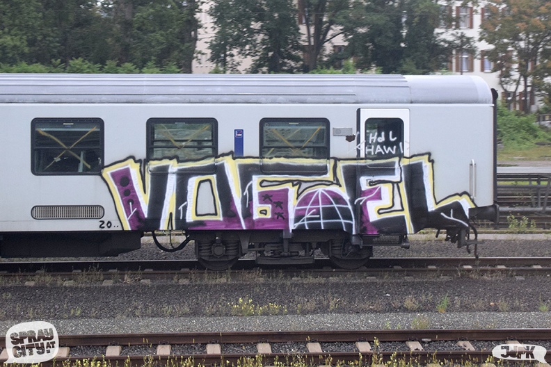 Graz_Train_2020 (1).jpg