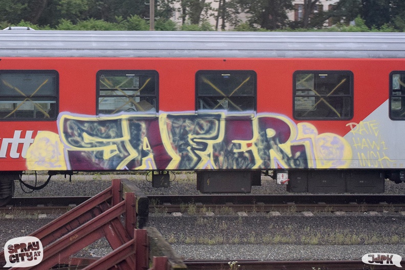Graz_Train_2020 (2).jpg