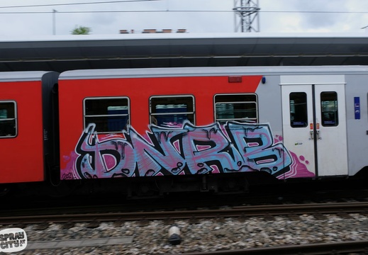 sbahn8