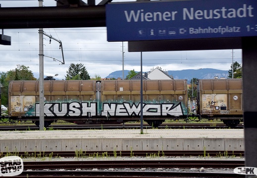 Wiener Neustadt 2021 (2)