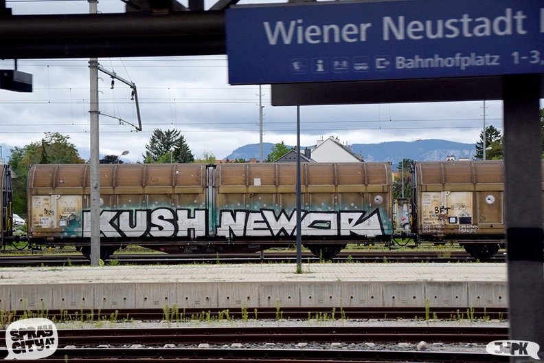 Wiener_Neustadt_2021 (2).jpg