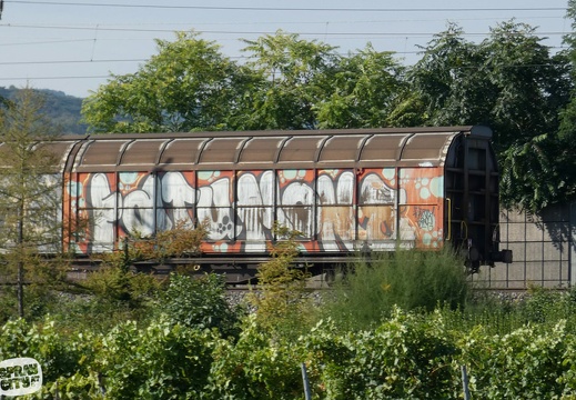 trains 5 21 MS
