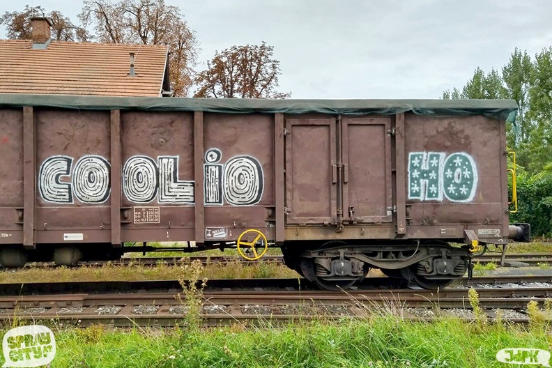 Graz_Train_trasher (4).jpg