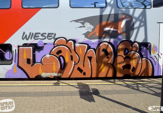 Wiener Neustadt Train 2021 (2)