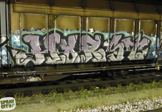 wels trains 2 11
