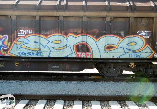 wels trains 5 13