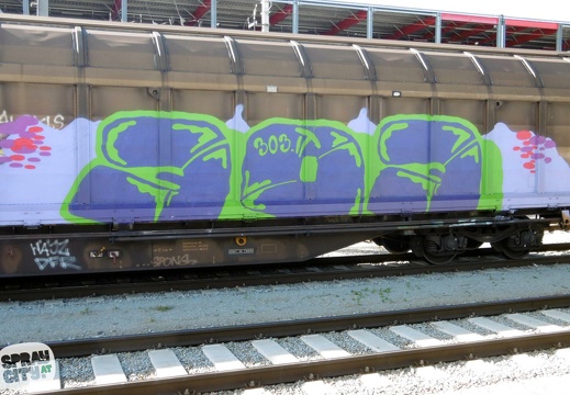 wels trains 5 17