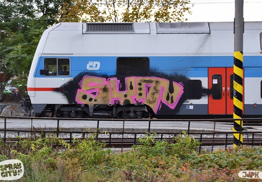 Prag 2021 train (1)
