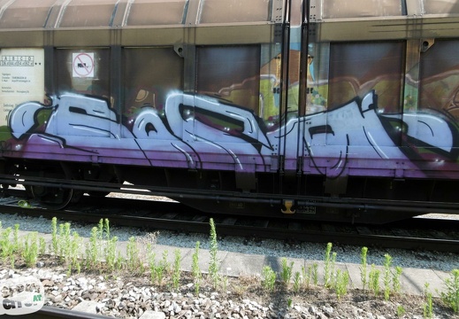 wels trains 5 24