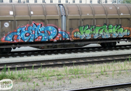 wels trains 5 29