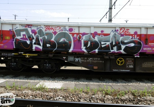 wels trains 5 28