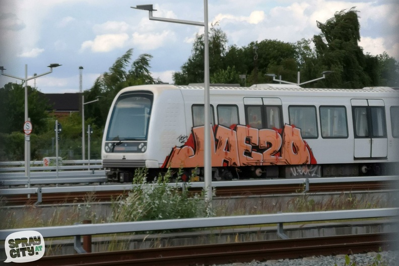 copenhagen_trains_3_13.jpg