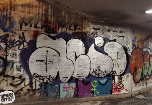 graz street 11 22 graffiti-stmk