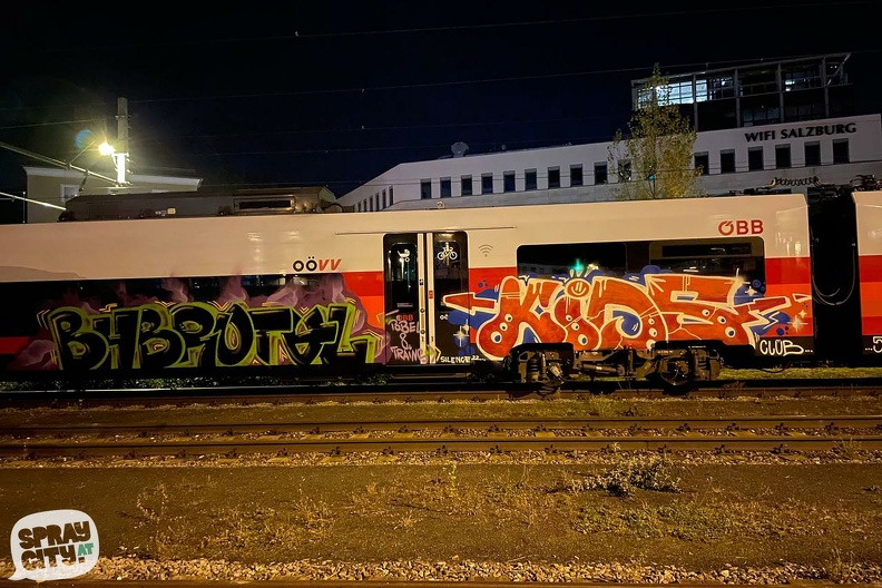 salzburg_trains_3_10.jpg