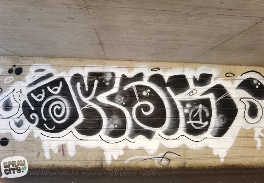 graz street 11 28 graffiti-stmk