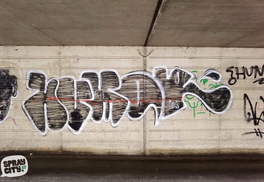 graz street 11 29 graffiti-stmk