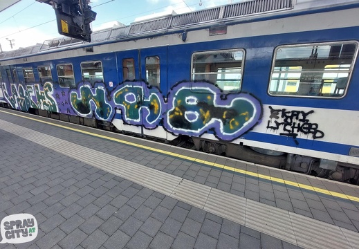 absdorf trains 1 13