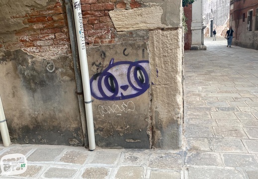 venezia street 4 9