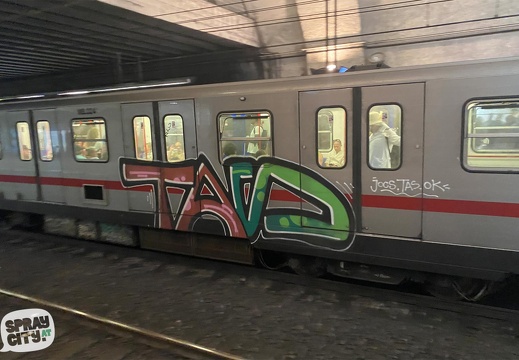 Roma Trains 7 21
