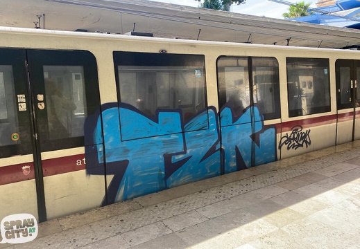 Roma Trains 7 23