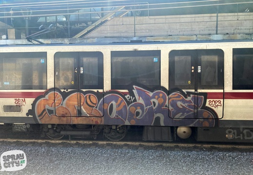 Roma Trains 7 25