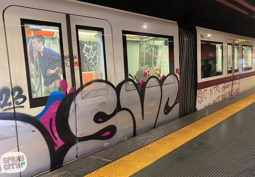 Roma Trains 7 29