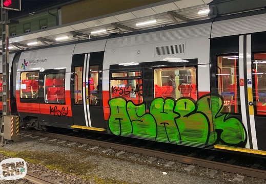 salzburg trains 3 21