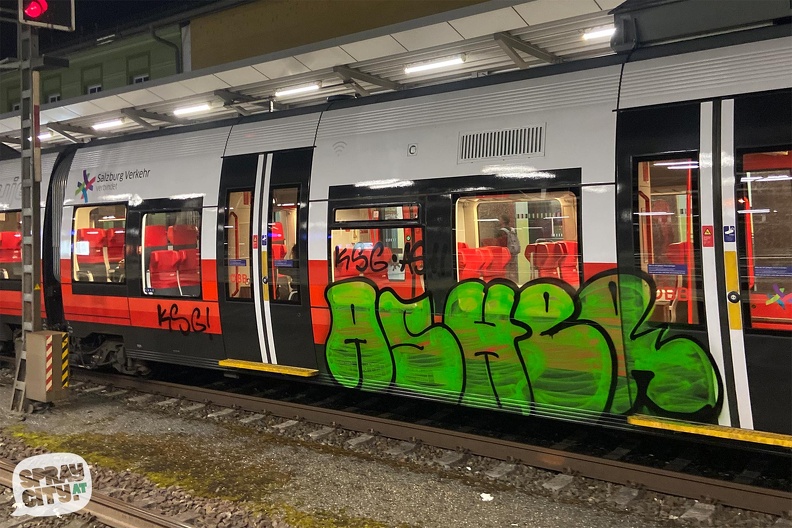 salzburg_trains_3_21.jpg