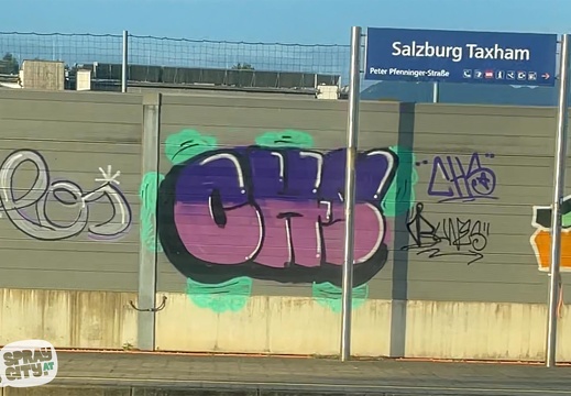 salzburg line 4 19