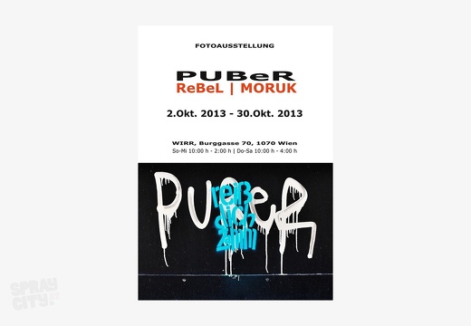 2013 10 Exhibition PUBER Rebel Moruk