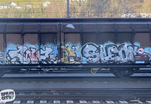 hohenems trains 1 30