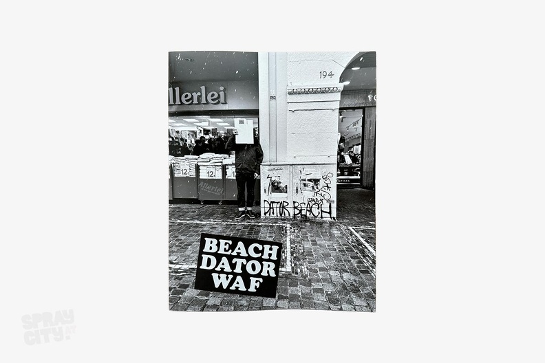 Beach_Dator_Waf.jpg
