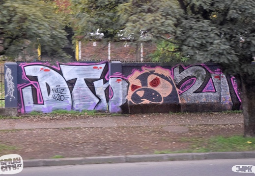 Temuco 2023 street (1)