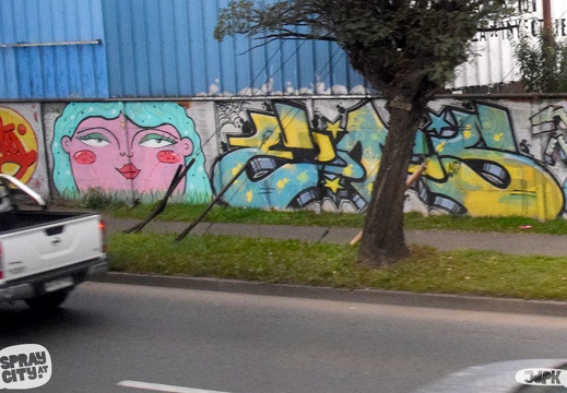 Temuco 2023 street (3)