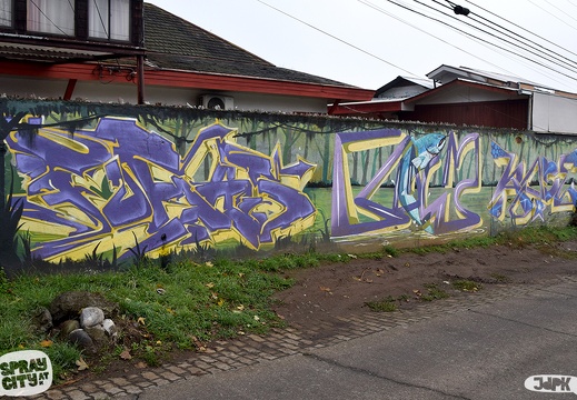 Temuco 2023 street (15)