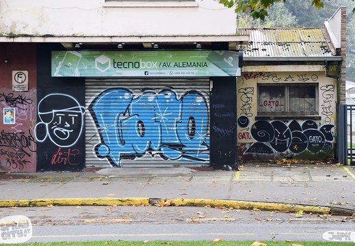 Temuco 2023 street (31)