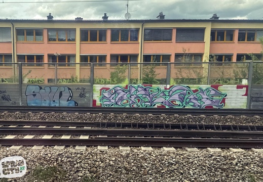 salzburg line 5 16