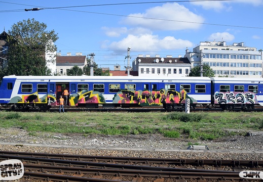 Wien 2023 train (1)