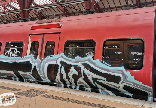 copenhagen trains 5 3