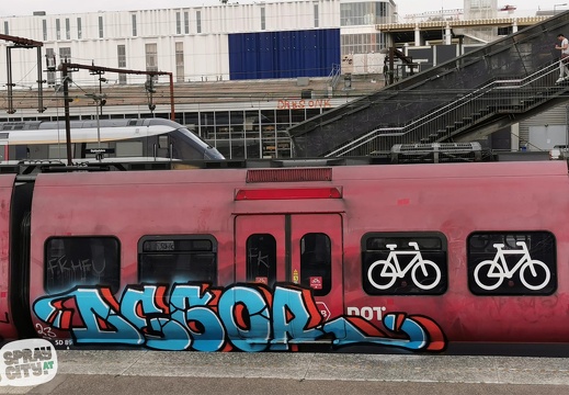 copenhagen trains 5 14