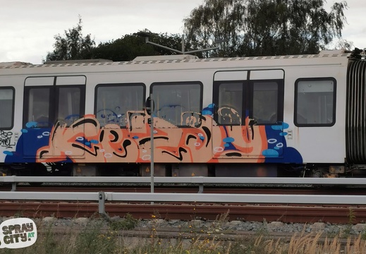 copenhagen trains 5 21