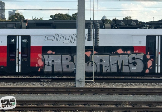 wien trains cityjet 17 7